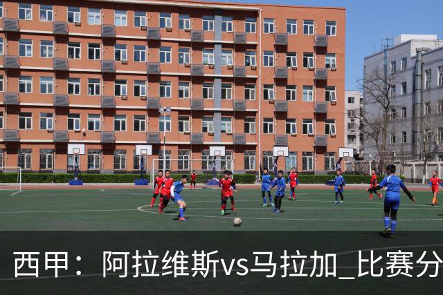 西甲：阿拉维斯vs马拉加 比赛分析